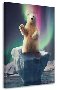 Obraz na plátně Šťastný lední medvěd - Patryk Andrzejewski Rozměry: 40 x 60 cm