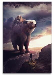 Obraz na plátně Skalní medvěd - Patryk Andrzejewski Rozměry: 40 x 60 cm