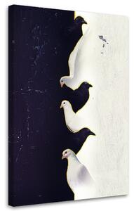 Obraz na plátně Tři bílí holubi - Patryk Andrzejewski Rozměry: 40 x 60 cm