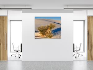 Obraz skleněný rostlina na bílé písečné duně - 40 x 40 cm