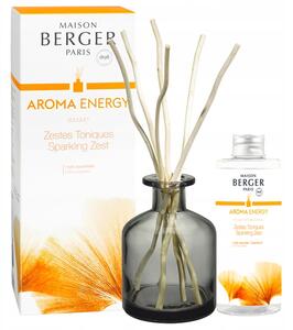 Berger vonné tyčinky difuzér s vonným olejem šampaňské 100ml vůně