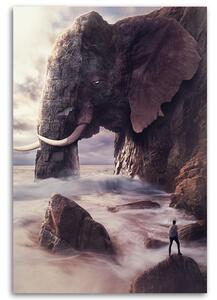 Obraz na plátně Slon ve skále - Patryk Andrzejewski Rozměry: 40 x 60 cm