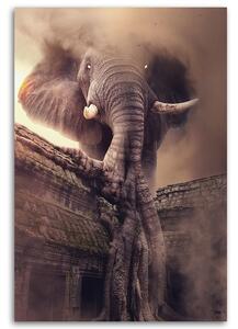 Obraz na plátně Slon z nebes - Patryk Andrzejewski Rozměry: 40 x 60 cm