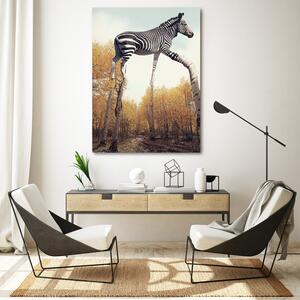 Obraz na plátně Zebra a březové nohy - Patryk Andrzejewski Rozměry: 40 x 60 cm