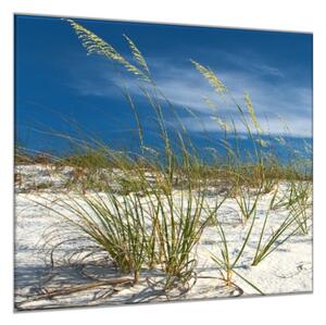 Obraz skleněný nebe a písečná duna s trávou - 40 x 40 cm