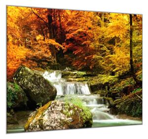 Obraz skleněný řeka a podzimní les - 50 x 50 cm
