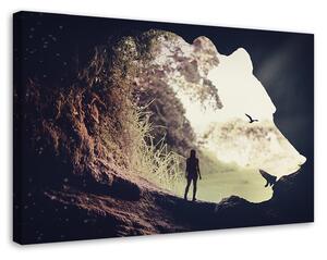 Obraz na plátně Medvědí jeskyně - Patryk Andrzejewski Rozměry: 60 x 40 cm