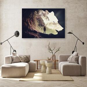 Obraz na plátně Medvědí jeskyně - Patryk Andrzejewski Rozměry: 60 x 40 cm