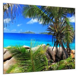 Obraz na stěnu pohled na moře a palmy - 50 x 50 cm