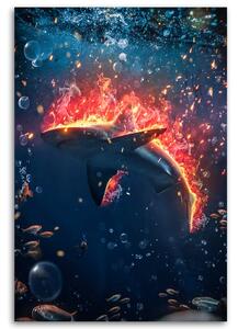 Obraz na plátně Hořící žralok - Alex Griffith Rozměry: 40 x 60 cm