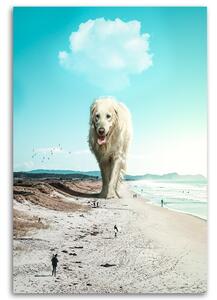 Obraz na plátně Procházka po pláži - Alex Griffith Rozměry: 40 x 60 cm