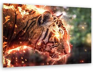 Obraz na plátně Plamenný tygr - Alex Griffith Rozměry: 60 x 40 cm