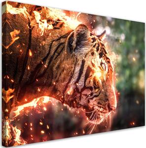 Obraz na plátně Plamenný tygr - Alex Griffith Rozměry: 60 x 40 cm