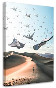 Obraz na plátně Létající rejnoci - Alex Griffith Rozměry: 40 x 60 cm