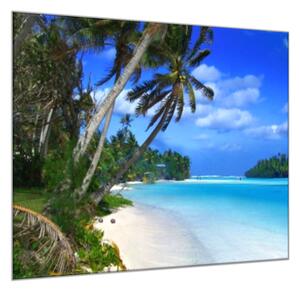 Obraz skleněný moře, palmy, pláž - 50 x 50 cm