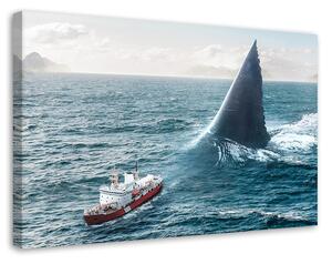 Obraz na plátně Obří žralok - Alex Griffith Rozměry: 60 x 40 cm