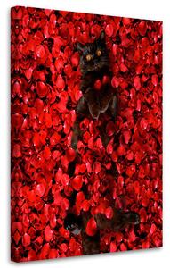 Obraz na plátně Kočka Květiny Černá kočka Růže Červená - Galina Bugaevskaya Rozměry: 40 x 60 cm