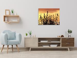 Obraz skleněný tráva v západu slunce - 40 x 40 cm
