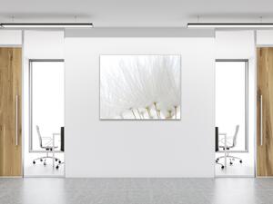 Obraz skleněný čtvercový odkvetlá bíla pampeliška - 34 x 34 cm