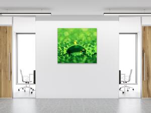 Obraz skleněný čtvercový kapka vody na zeleném skle - 40 x 40 cm