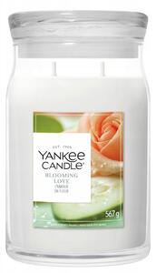 Sójová vonná svíčka Blooming Love Yankee Candle 1 ks