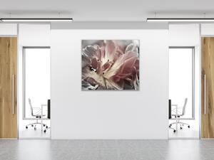 Obraz skleněný čtvercový abstraktní šedý květ tulipánu - 40 x 40 cm