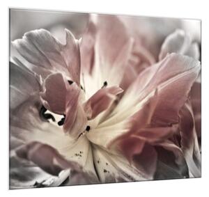 Obraz skleněný čtvercový abstraktní šedý květ tulipánu - 40 x 40 cm