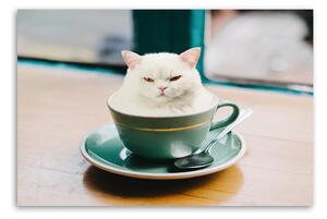 Obraz na plátně Káva White Cat Cup - Galina Bugaevskaya Rozměry: 60 x 40 cm