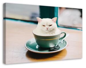 Obraz na plátně Káva White Cat Cup - Galina Bugaevskaya Rozměry: 60 x 40 cm