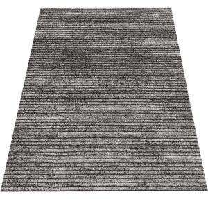 Makro Abra Moderní kusový koberec Panamero 23 Proužky šedý hnědý béžový Rozměr: 80x150 cm