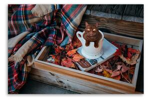 Obraz na plátně Čokoládová kočka Podzimní listí - Galina Bugaevskaya Rozměry: 60 x 40 cm