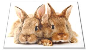 Skleněné prkénko dva hnědí králíci - 40x30cm