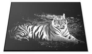 Krájecí podložka ležící černobílý tygr 30x40cm aj. - 40x30cm