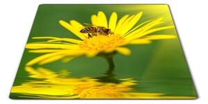 Skleněné prkénko včela na žluté kopretině - 30x20cm