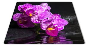 Skleněné prkénko květ orchideje na zen kameni - 30x20cm