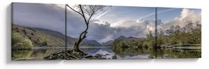 Obraz řeky se stromem (170x50 cm)