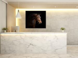 Obraz skleněný kůň hnědý - 40 x 40 cm