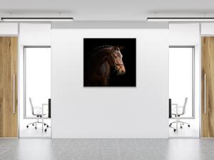 Obraz skleněný kůň hnědý - 40 x 40 cm