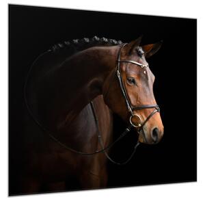 Obraz skleněný kůň hnědý - 50 x 50 cm