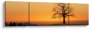 Obraz západu slunce na louce (170x50 cm)