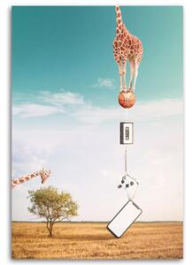 Obraz na plátně Žirafa, míč a elektronika - Bryantama Art Rozměry: 40 x 60 cm