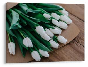 Obraz kytice bílých tulipánů (70x50 cm)
