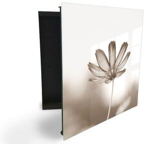 Glasdekor skříňka na klíče - abstraktní květ v sépiové - Levé / Černá