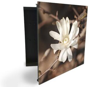 Glasdekor skříňka na klíče - květ bílé magnolie na hnědém pozadí - Levé / Černá