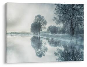 Obraz zimní přírody (70x50 cm)