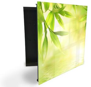 Glasdekor skříňka na klíče - bambus nad hladinou v záři slunce - Levé / Černá