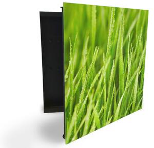 Glasdekor skříňka na klíče - detail zelené jarní trávy - Levé / Černá