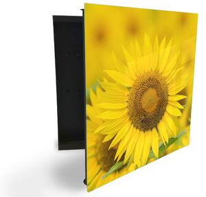 Glasdekor skříňka na klíče - detail květ slunečnice - Pravé / Černá