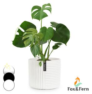 Fox & Fern Květináč Hasselt z polystonu, ručně vyrobený, vhodný pro rostliny ve 3D vzhledu