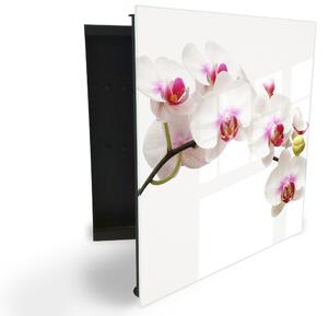 Glasdekor skříňka na klíče - květ orchideje na bílém podkladu - Levé / Černá